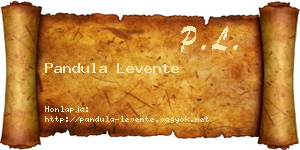 Pandula Levente névjegykártya