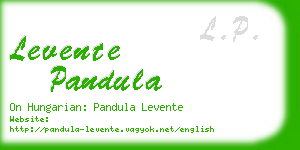 levente pandula business card